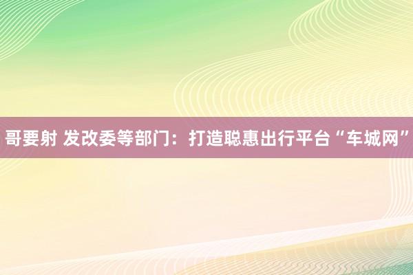 哥要射 发改委等部门：打造聪惠出行平台“车城网”