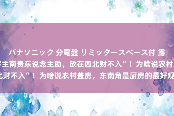 パナソニック 分電盤 リミッタースペース付 露出・半埋込両用形 “厨房主南贵东说念主助，放在西北财不入”！为啥说农村盖房，东南角是厨房的最好观点？