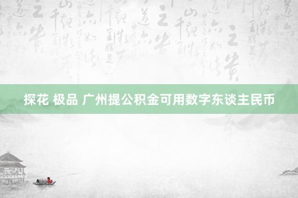 探花 极品 广州提公积金可用数字东谈主民币