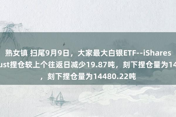 熟女镇 扫尾9月9日，大家最大白银ETF--iShares Silver Trust捏仓较上个往返日减少19.87吨，刻下捏仓量为14480.22吨