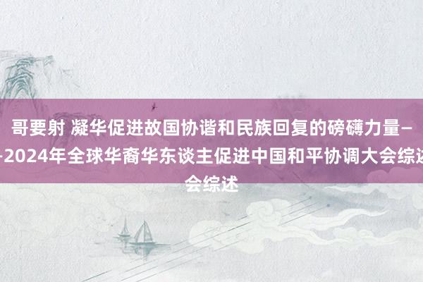 哥要射 凝华促进故国协谐和民族回复的磅礴力量——2024年全球华裔华东谈主促进中国和平协调大会综述