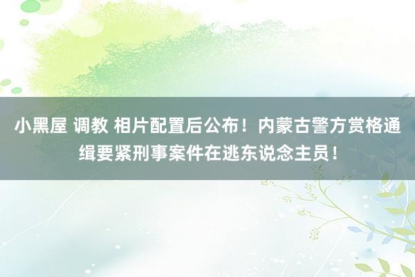 小黑屋 调教 相片配置后公布！内蒙古警方赏格通缉要紧刑事案件在逃东说念主员！