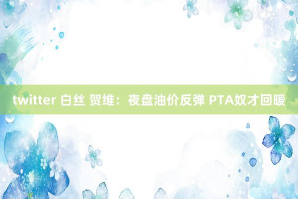 twitter 白丝 贺维：夜盘油价反弹 PTA奴才回暖