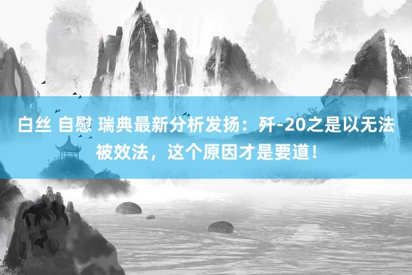 白丝 自慰 瑞典最新分析发扬：歼-20之是以无法被效法，这个原因才是要道！