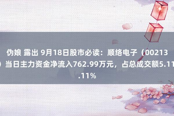 伪娘 露出 9月18日股市必读：顺络电子（002138）当日主力资金净流入762.99万元，占总成交额5.11%