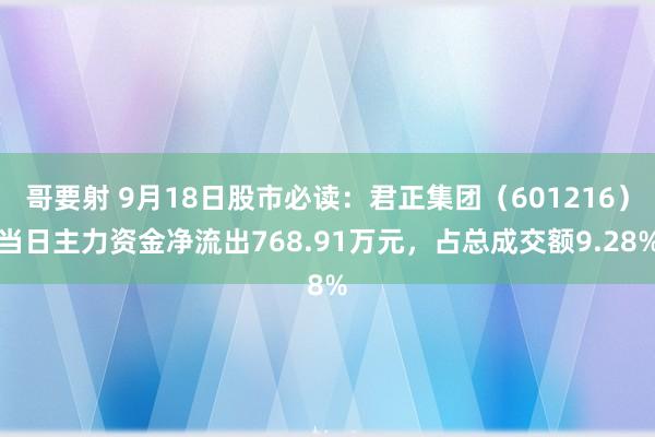 哥要射 9月18日股市必读：君正集团（601216）当日主力资金净流出768.91万元，占总成交额9.28%