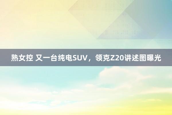 熟女控 又一台纯电SUV，领克Z20讲述图曝光