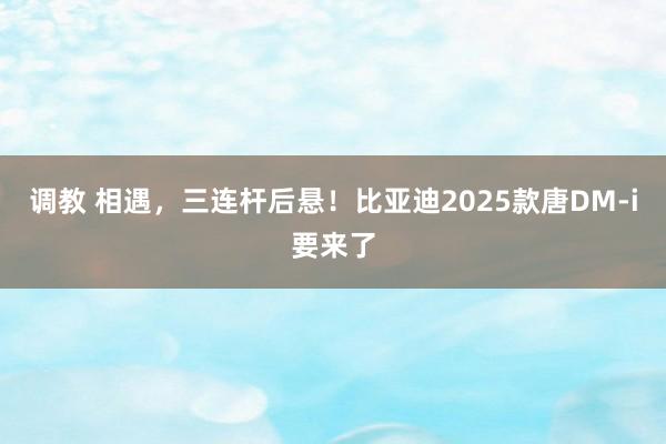 调教 相遇，三连杆后悬！比亚迪2025款唐DM-i要来了