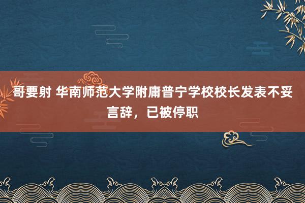 哥要射 华南师范大学附庸普宁学校校长发表不妥言辞，已被停职