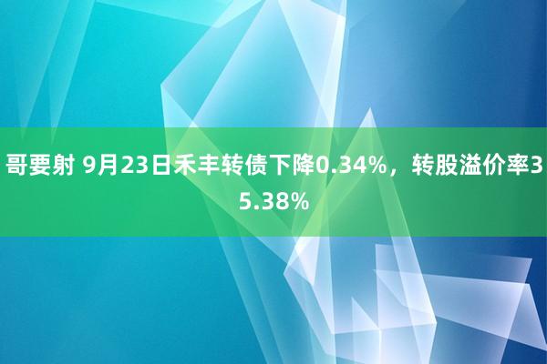 哥要射 9月23日禾丰转债下降0.34%，转股溢价率35.38%