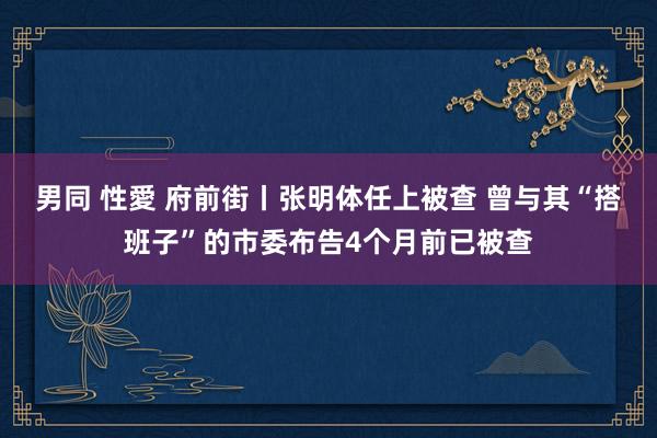 男同 性愛 府前街丨张明体任上被查 曾与其“搭班子”的市委布告4个月前已被查