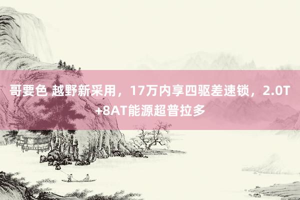 哥要色 越野新采用，17万内享四驱差速锁，2.0T+8AT能源超普拉多