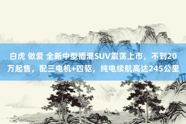 白虎 做爱 全新中型插混SUV震荡上市，不到20万起售，配三电机+四驱，纯电续航高达245公里