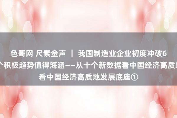 色哥网 尺素金声 ｜ 我国制造业企业初度冲破600万家，三个积极趋势值得海涵——从十个新数据看中国经济高质地发展底座①