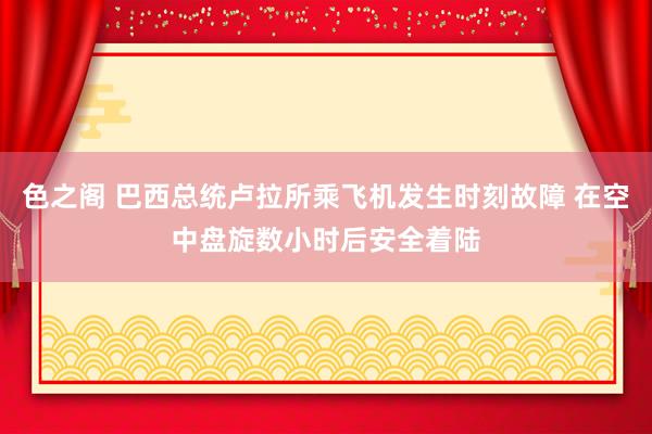 色之阁 巴西总统卢拉所乘飞机发生时刻故障 在空中盘旋数小时后安全着陆