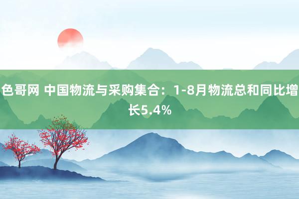 色哥网 中国物流与采购集合：1-8月物流总和同比增长5.4%