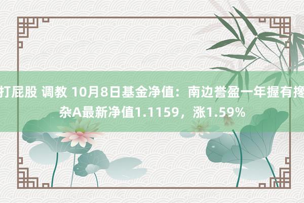 打屁股 调教 10月8日基金净值：南边誉盈一年握有搀杂A最新净值1.1159，涨1.59%