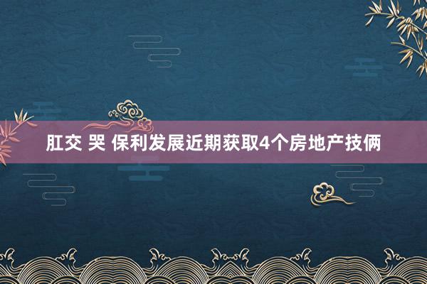 肛交 哭 保利发展近期获取4个房地产技俩