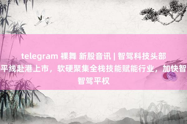 telegram 裸舞 新股音讯 | 智驾科技头部企业地平线赴港上市，软硬聚集全栈技能赋能行业，加快智驾平权