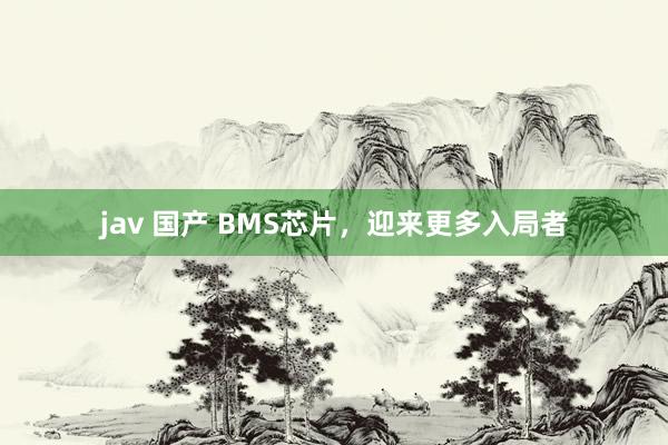 jav 国产 BMS芯片，迎来更多入局者