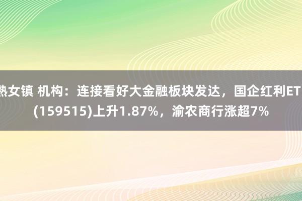 熟女镇 机构：连接看好大金融板块发达，国企红利ETF(159515)上升1.87%，渝农商行涨超7%