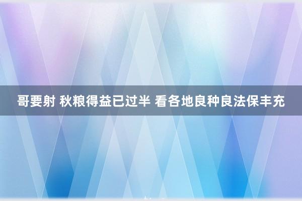 哥要射 秋粮得益已过半 看各地良种良法保丰充