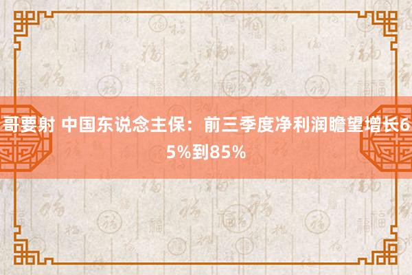 哥要射 中国东说念主保：前三季度净利润瞻望增长65%到85%