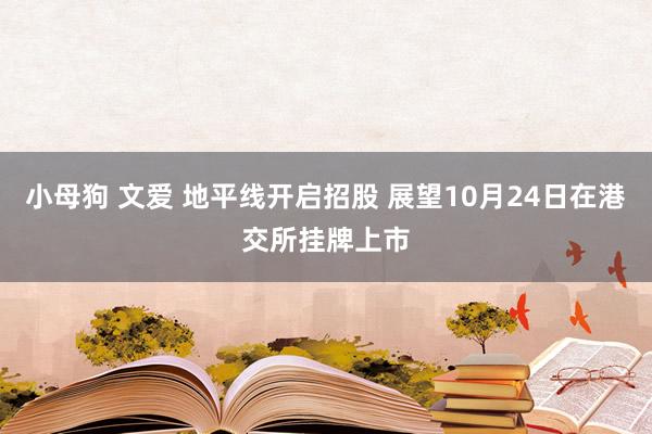 小母狗 文爱 地平线开启招股 展望10月24日在港交所挂牌上市