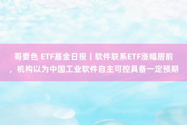 哥要色 ETF基金日报丨软件联系ETF涨幅居前，机构以为中国工业软件自主可控具备一定预期