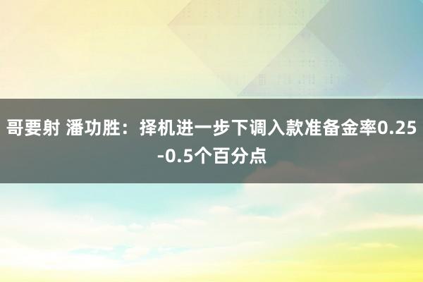 哥要射 潘功胜：择机进一步下调入款准备金率0.25-0.5个百分点