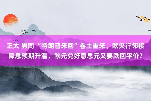 正太 男同 “特朗普来回”卷土重来、欧央行邻接降息预期升温，欧元兑好意思元又要跌回平价？