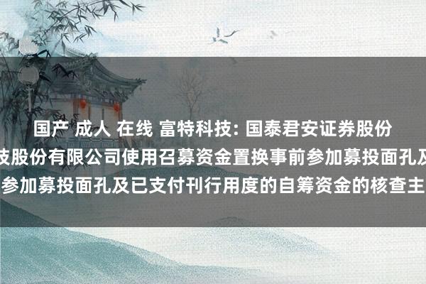 国产 成人 在线 富特科技: 国泰君安证券股份有限公司对于浙江富特科技股份有限公司使用召募资金置换事前参加募投面孔及已支付刊行用度的自筹资金的核查主意内容纲领