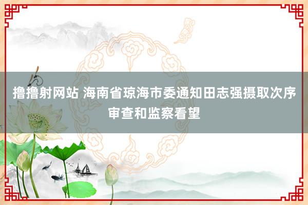 撸撸射网站 海南省琼海市委通知田志强摄取次序审查和监察看望