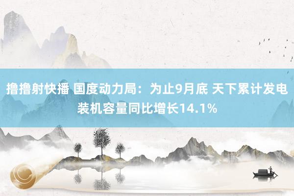 撸撸射快播 国度动力局：为止9月底 天下累计发电装机容量同比增长14.1%