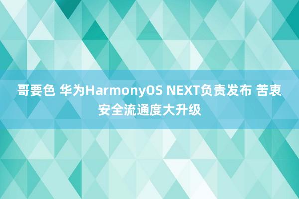 哥要色 华为HarmonyOS NEXT负责发布 苦衷安全流通度大升级