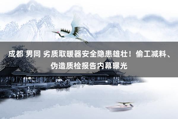 成都 男同 劣质取暖器安全隐患雄壮！偷工减料、伪造质检报告内幕曝光