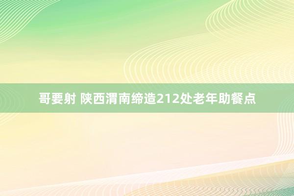 哥要射 陕西渭南缔造212处老年助餐点