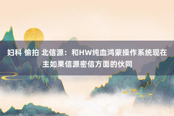 妇科 偷拍 北信源：和HW纯血鸿蒙操作系统现在主如果信源密信方面的伙同