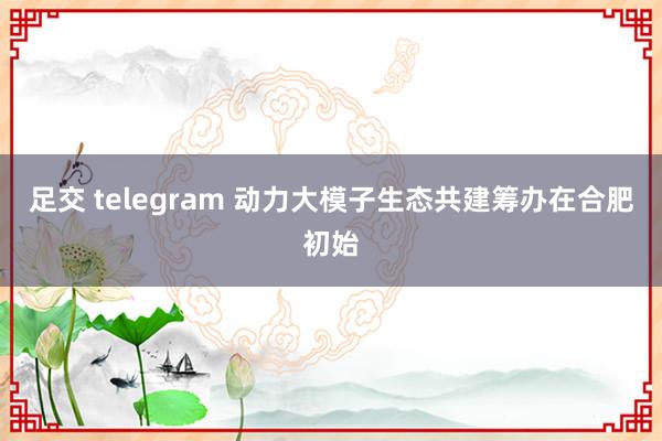 足交 telegram 动力大模子生态共建筹办在合肥初始