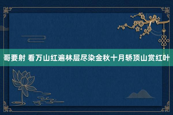 哥要射 看万山红遍林层尽染金秋十月轿顶山赏红叶