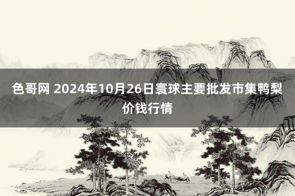 色哥网 2024年10月26日寰球主要批发市集鸭梨价钱行情