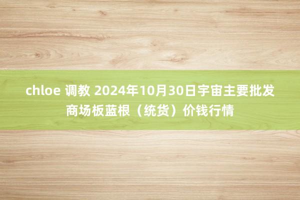 chloe 调教 2024年10月30日宇宙主要批发商场板蓝根（统货）价钱行情