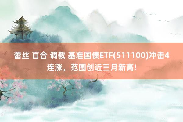 蕾丝 百合 调教 基准国债ETF(511100)冲击4连涨，范围创近三月新高!