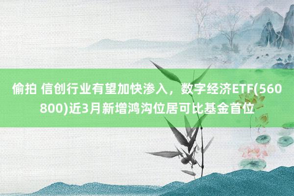 偷拍 信创行业有望加快渗入，数字经济ETF(560800)近3月新增鸿沟位居可比基金首位