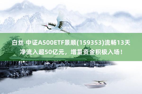 白丝 中证A500ETF景顺(159353)流畅13天净流入超50亿元，增量资金积极入场！