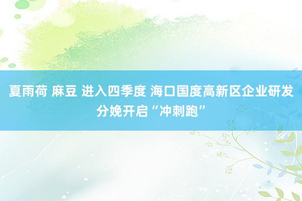 夏雨荷 麻豆 进入四季度 海口国度高新区企业研发分娩开启“冲刺跑”