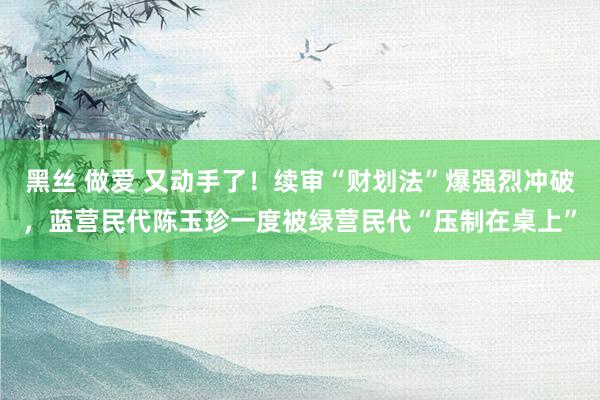 黑丝 做爱 又动手了！续审“财划法”爆强烈冲破，蓝营民代陈玉珍一度被绿营民代“压制在桌上”