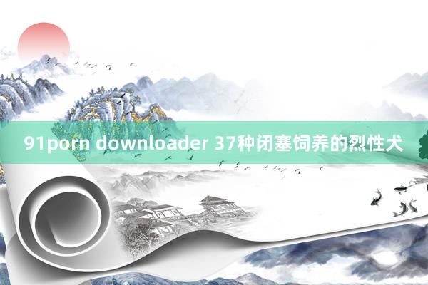 91porn downloader 37种闭塞饲养的烈性犬