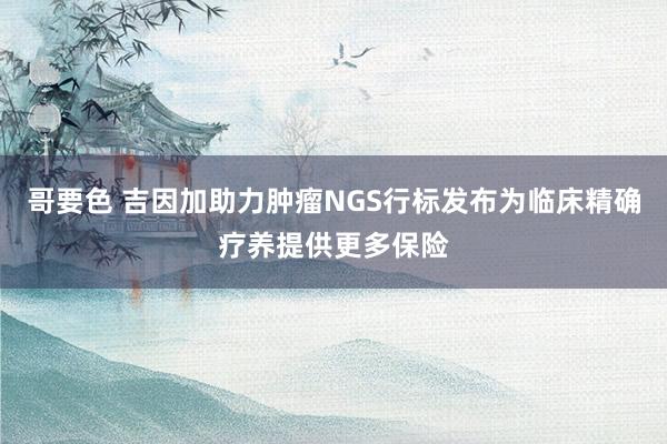 哥要色 吉因加助力肿瘤NGS行标发布为临床精确疗养提供更多保险