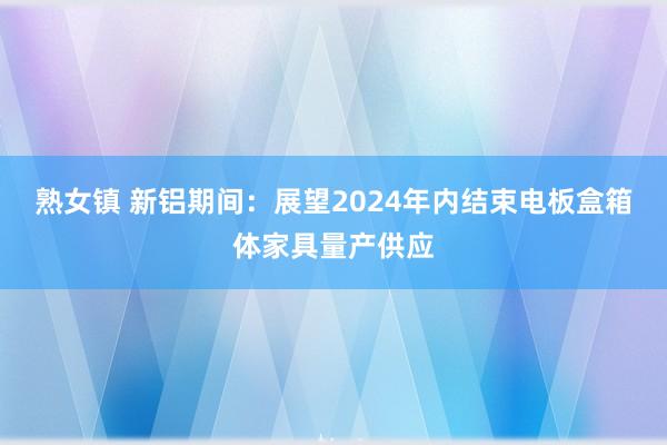 熟女镇 新铝期间：展望2024年内结束电板盒箱体家具量产供应